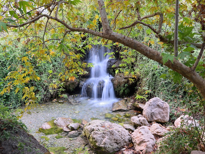 Landscape